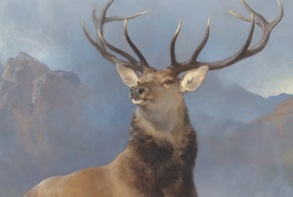 Monarch of the Glen National Galleries Scotland